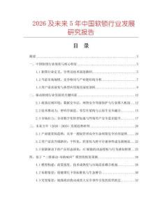 2026及未來5年中國軟鎖行業發展研究報告