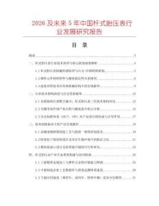 2026及未來5年中國桿式胎壓表行業(yè)發(fā)展研究報(bào)告