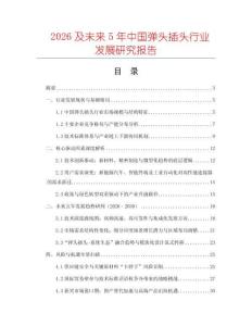 2026及未來5年中國彈頭插頭行業(yè)發(fā)展研究報告
