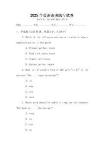 2025年英語語法練習(xí)試卷