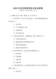 2025年項目管理實務(wù)考試及答案