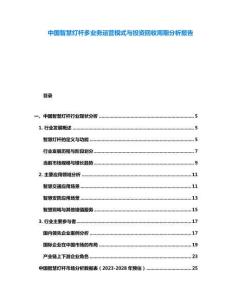 中國智慧燈桿多業(yè)務(wù)運營模式與投資回收周期分析報告
