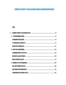 中國電子競技產(chǎn)業(yè)生態(tài)完善與商業(yè)價值釋放路徑報告