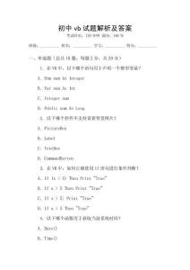 初中vb試題解析及答案