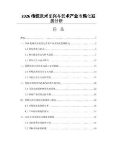 2026傳統武術復興與武術產業市場化發展分析