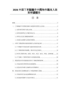 2026中國(guó)丁苯酞腦卒中藥物市場(chǎng)準(zhǔn)入政策解讀報(bào)告