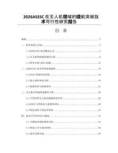 2026ASSSC在無人機領域的續航突破技術可行性研究報告