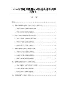 2026智慧電網(wǎng)設(shè)備技術(shù)路線供給需求評估報告