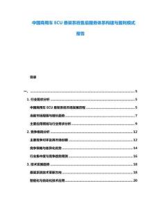 中國(guó)商用車ECU懸架系統(tǒng)售后服務(wù)體系構(gòu)建與盈利模式報(bào)告