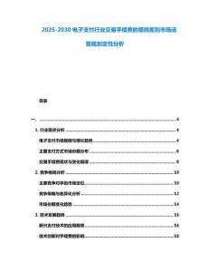 2025-2030電子支付行業(yè)交易手續(xù)費的細微差別市場運營規(guī)劃定性分析