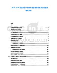 2025-2030印度軟件產業核心競爭優勢剖析及行業前景研究文檔