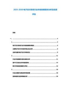 2025-2030電子支付系統(tǒng)行業(yè)市場發(fā)展現(xiàn)狀分析及投資評估