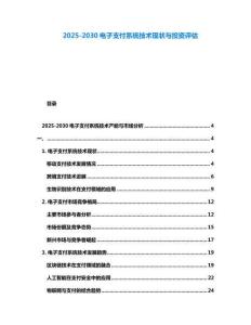 2025-2030電子支付系統技術現狀與投資評估