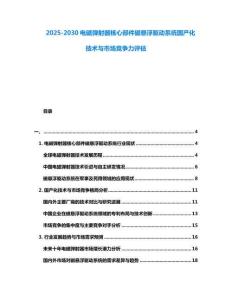 2025-2030電磁彈射器核心部件磁懸浮驅(qū)動(dòng)系統(tǒng)國(guó)產(chǎn)化技術(shù)與市場(chǎng)競(jìng)爭(zhēng)力評(píng)估