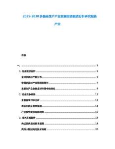 2025-2030多晶硅生產產業發展投資融資分析研究報告產業