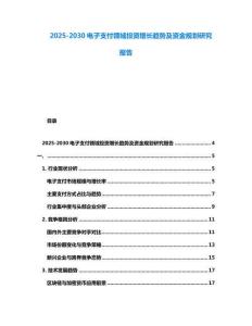 2025-2030電子支付領域投資增長趨勢及資金規劃研究報告