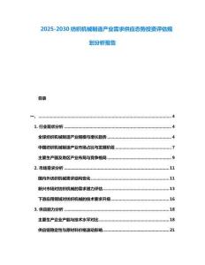 2025-2030紡織機械制造產業需求供應態勢投資評估規劃分析報告