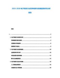 2025-2030电子商务行业竞争格局与发展趋势研究分析报告