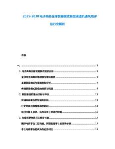 2025-2030电子商务全球贸易模式新型渠道机遇风险评估行业解析