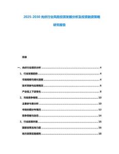 2025-2030光伏行業風險投資發展分析及投資融資策略研究報告