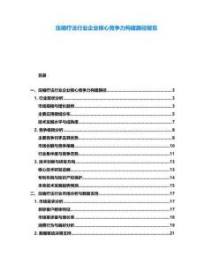 壓縮療法行業企業核心競爭力構建路徑報告