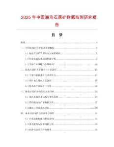 2025年中國海泡石原礦數據監測研究報告