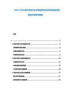2025-2030软件开发行业市场现状需求分析及投资评估规划分析研究报告