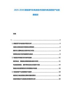 2025-2030新能源汽車電池技術(shù)突破與電池回收產(chǎn)業(yè)發(fā)展規(guī)劃