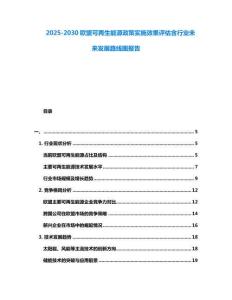 2025-2030歐盟可再生能源政策實施效果評估含行業(yè)未來發(fā)展路線圖報告