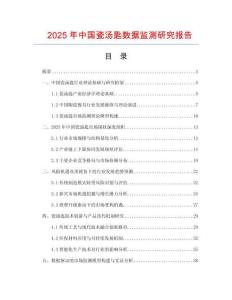 2025年中國瓷湯匙數據監測研究報告