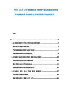 2025-2030公司年報披露審計風險內部控制制度審閱報告權益相關者義務條款結合審計質量控制分析報告