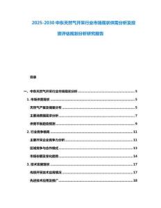 2025-2030中東天然氣開采行業市場現狀供需分析及投資評估規劃分析研究報告