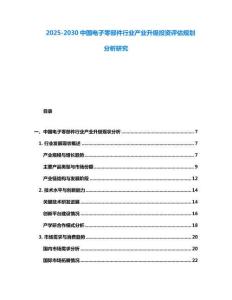2025-2030中國電子零部件行業(yè)產業(yè)升級投資評估規(guī)劃分析研究