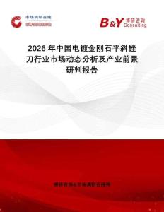 2026年中國(guó)電鍍金剛石平斜銼刀行業(yè)市場(chǎng)動(dòng)態(tài)分析及產(chǎn)業(yè)前景研判報(bào)告