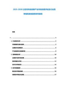 2025-2030以色列科技創(chuàng)新產(chǎn)業(yè)市場深度評估及行業(yè)競爭格局演變趨勢研究報(bào)告