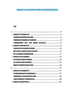 新能源行業(yè)市場競爭對手格局與投資規(guī)劃篩選報告
