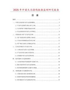 2025年中國天溝掛鉤數據監測研究報告