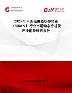 2026年中國(guó)磁阻隨機(jī)存儲(chǔ)器（MRAM）行業(yè)市場(chǎng)動(dòng)態(tài)分析及產(chǎn)業(yè)前景研判報(bào)告