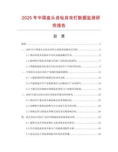 2025年中國盤頭自鉆自攻釘數(shù)據(jù)監(jiān)測研究報告