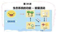 生態(tài)系統(tǒng)的功能--能量流動+課件+2026屆高三生物一輪復習（人教版）