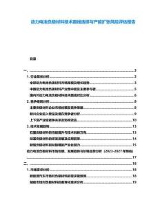 動力電池負極材料技術路線選擇與產(chǎn)能擴張風險評估報告