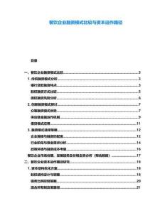 餐飲企業(yè)融資模式比較與資本運作路徑