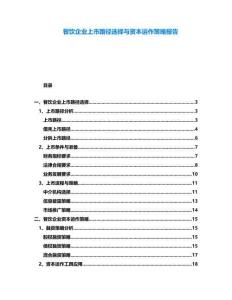 餐飲企業(yè)上市路徑選擇與資本運作策略報告