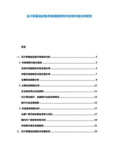 云計算基礎設施市場規模預測與投資價值分析報告