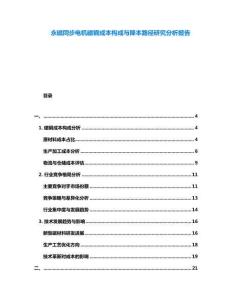 永磁同步电机磁钢成本构成与降本路径研究分析报告