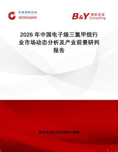 2026年中國電子級三氯甲烷行業(yè)市場動態(tài)分析及產(chǎn)業(yè)前景研判報告
