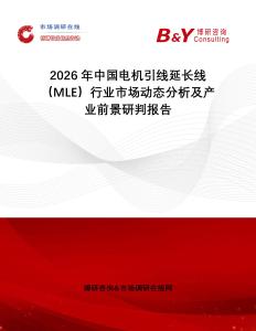 2026年中國電機引線延長線（MLE）行業(yè)市場動態(tài)分析及產(chǎn)業(yè)前景研判報告