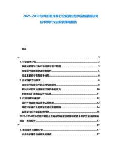2025-2030軟件加密開發行業反商業軟件盜版措施研究技術保護方法投資策略報告