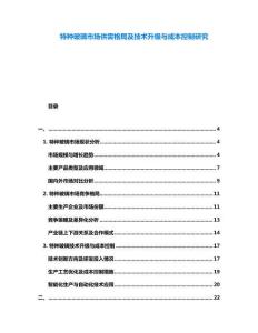 特種玻璃市場供需格局及技術升級與成本控制研究