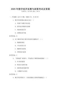2025年數(shù)字經(jīng)濟發(fā)展與政策考試及答案